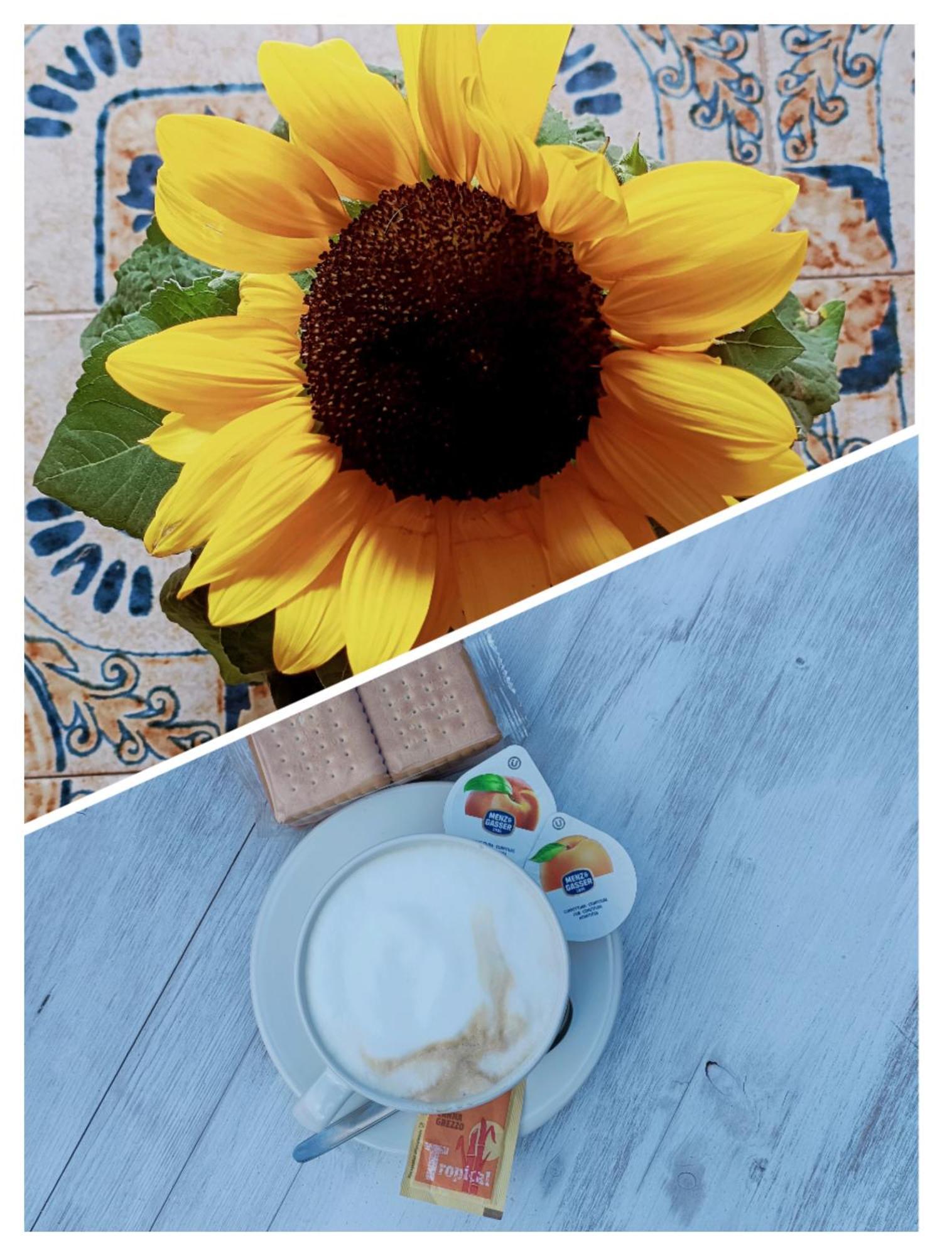 B&B Il Girasole Finale Ligure Kültér fotó